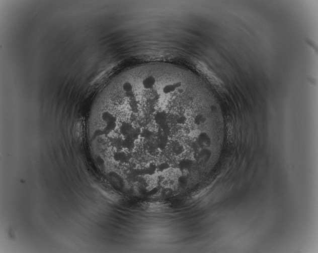 X0000091330165200708311443