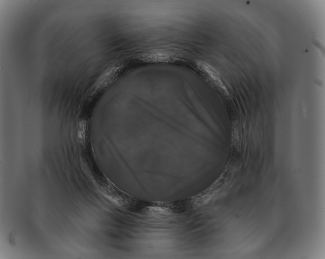 X0000091330167200708311443