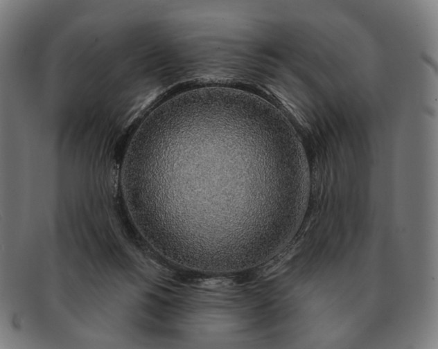 X0000091330168200708311443