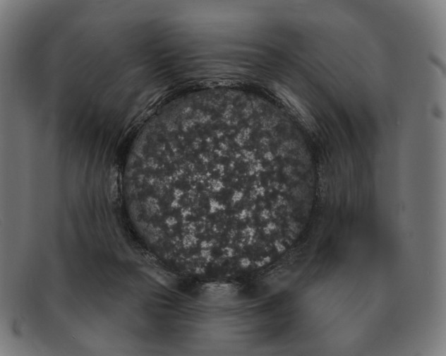 X0000091330169200708311443