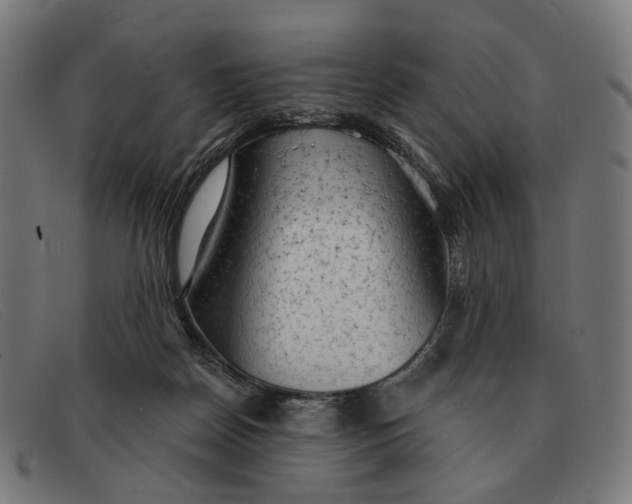 X0000091330170200708311443