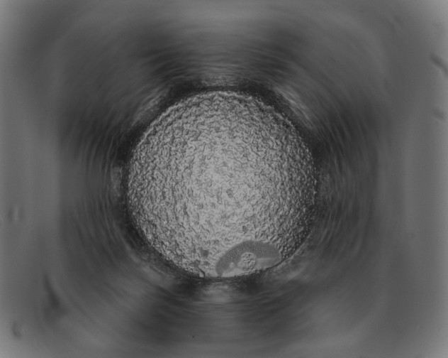 X0000091330171200708311443