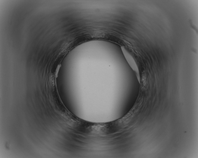 X0000091330172200708311443