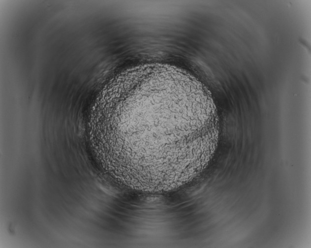 X0000091330173200708311443