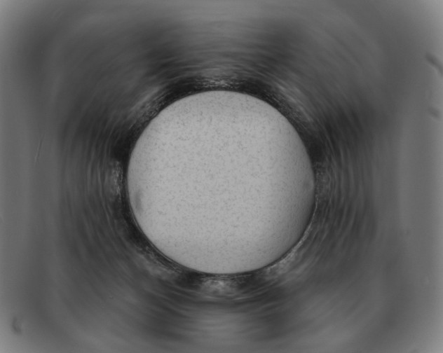 X0000091330174200708311443
