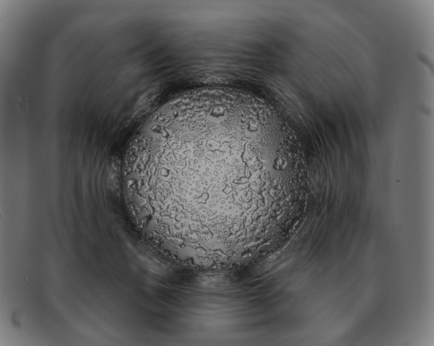 X0000091330175200708311443