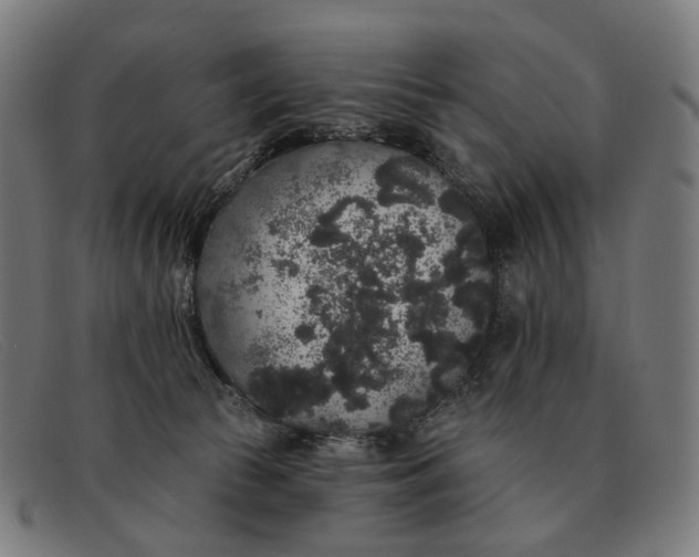X0000091330177200708311443