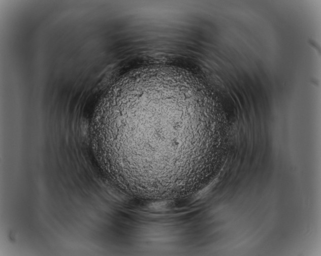 X0000091330178200708311443