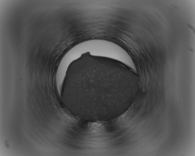 X0000091330180200708311443
