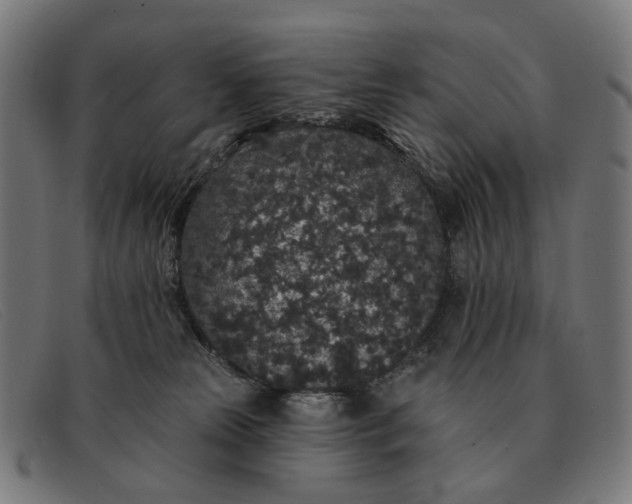 X0000091330181200708311443
