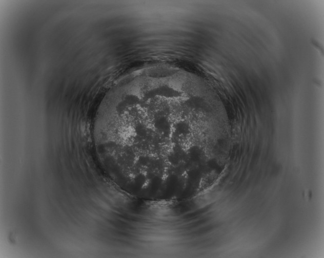 X0000091330182200708311443