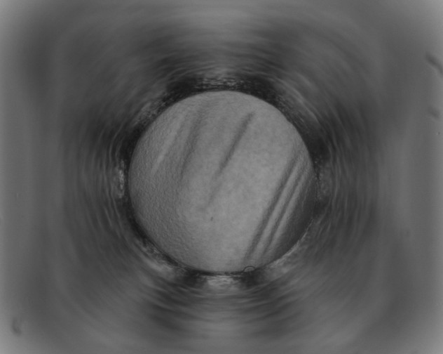 X0000091330183200708311443