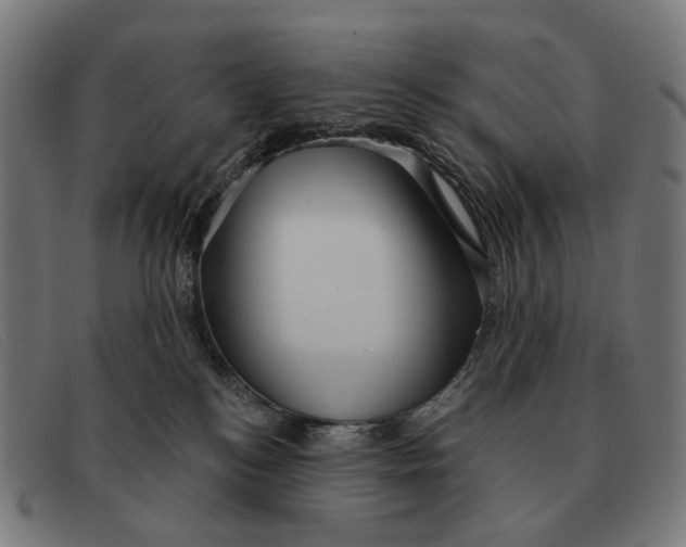 X0000091330184200708311443