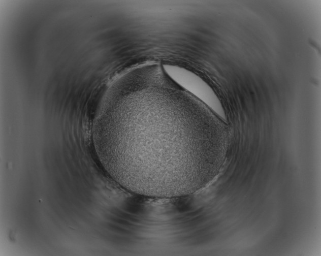X0000091330186200708311443
