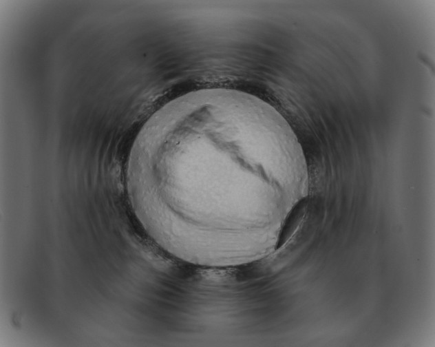 X0000091330187200708311443