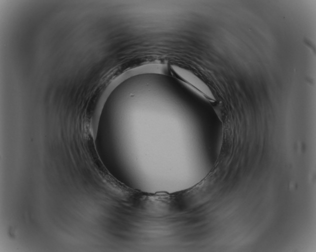 X0000091330188200708311443