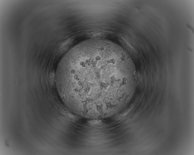 X0000091330189200708311443