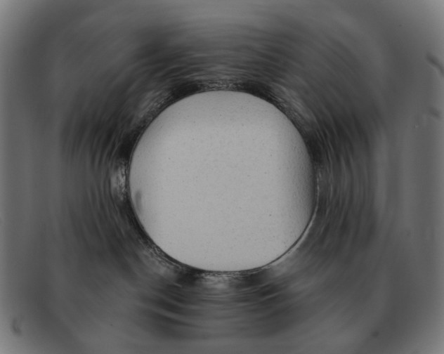 X0000091330190200708311443