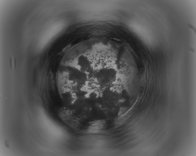 X0000091330191200708311443