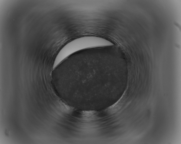 X0000091330192200708311443