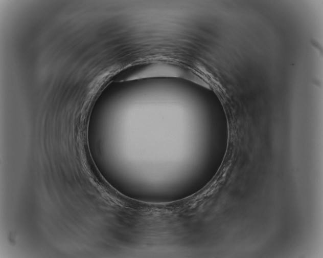 X0000091330193200708311443