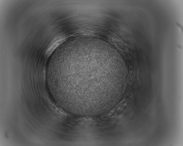 X0000091330194200708311443