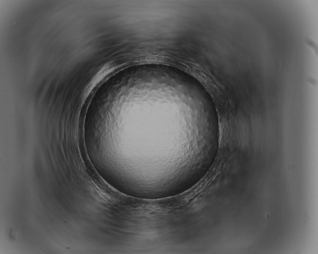 X0000091330195200708311443