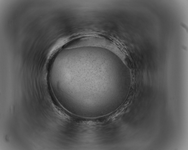 X0000091330197200708311443