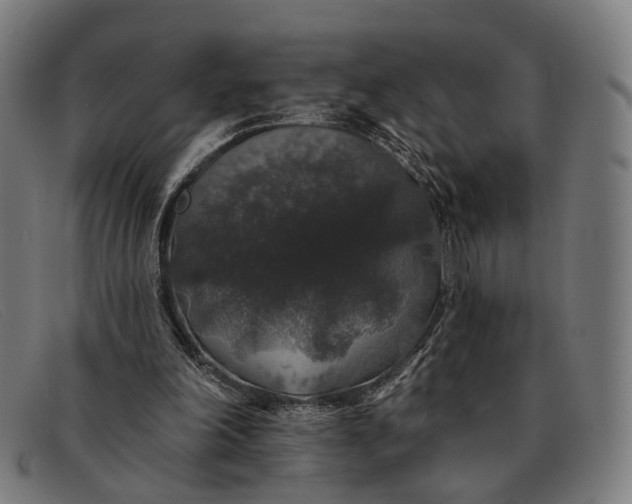X0000091330198200708311443