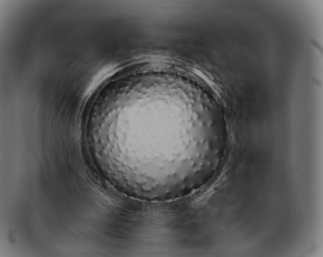 X0000091330199200708311443