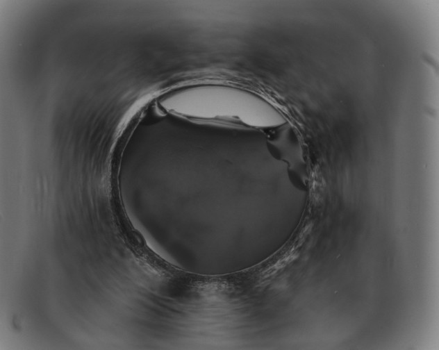 X0000091330200200708311443