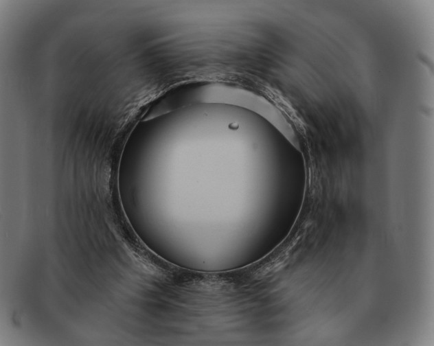 X0000091330201200708311443
