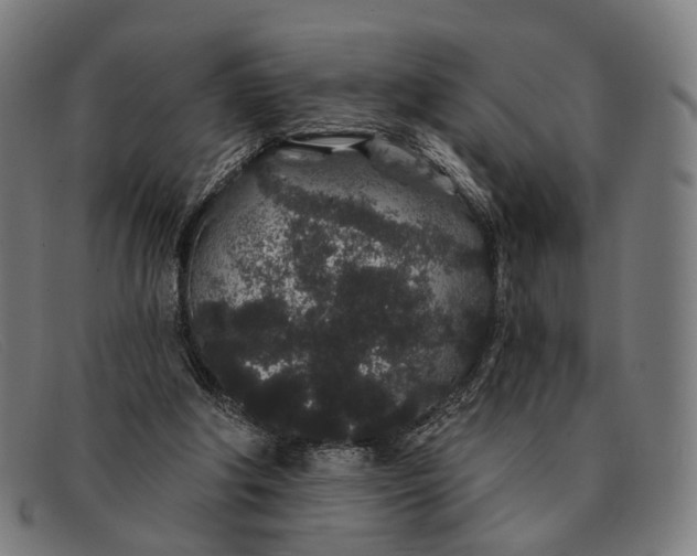 X0000091330202200708311443