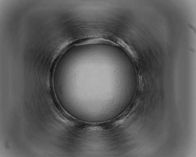 X0000091330203200708311443