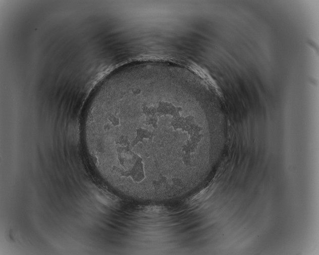 X0000091330204200708311443