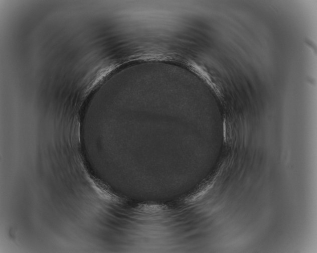X0000091330205200708311443