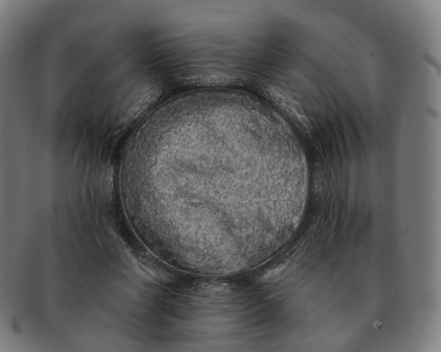 X0000091330206200708311443