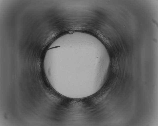 X0000091330207200708311443