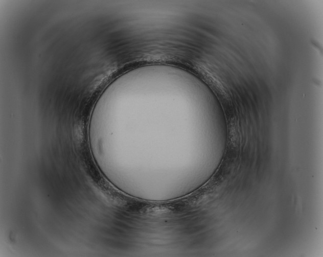 X0000091330208200708311443