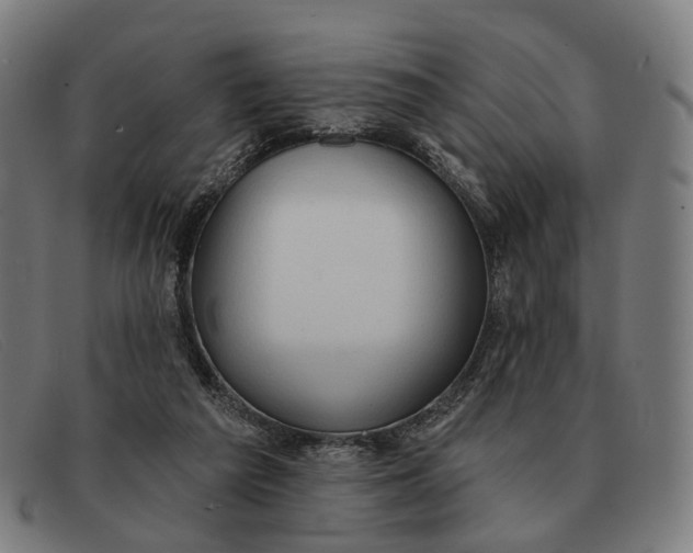 X0000091330209200708311443