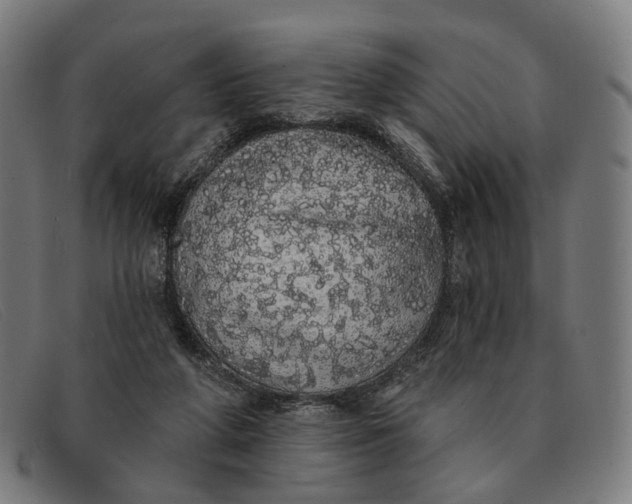 X0000091330210200708311443