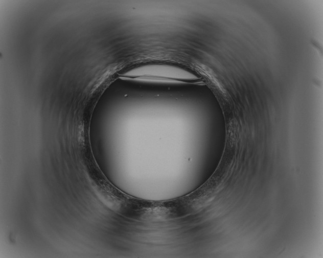 X0000091330212200708311443