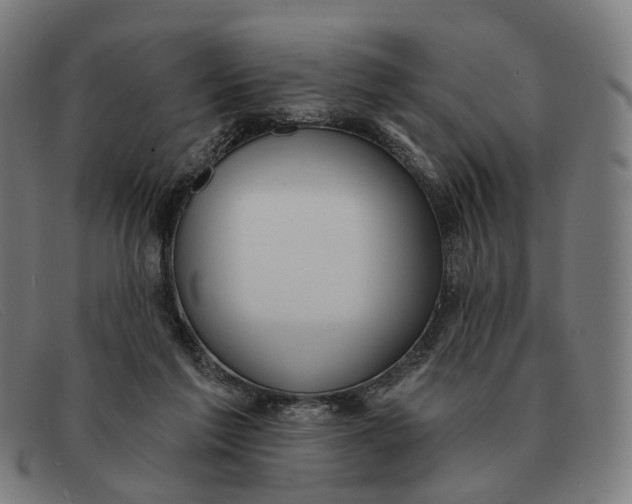 X0000091330213200708311443