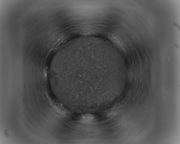X0000091330214200708311443