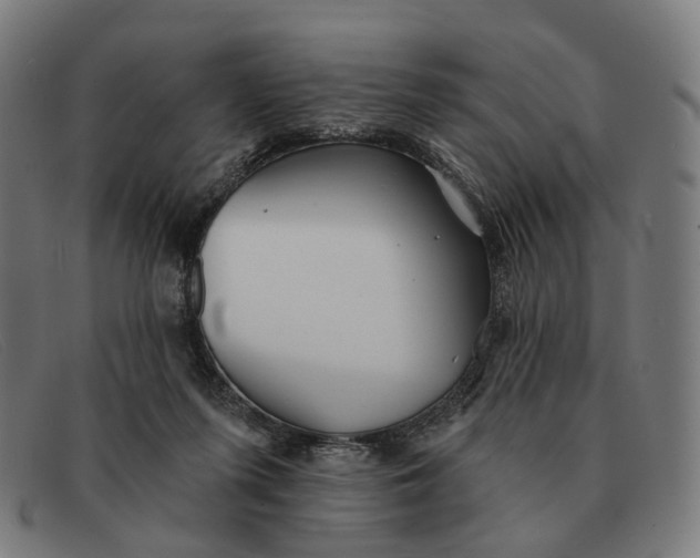 X0000091330215200708311443