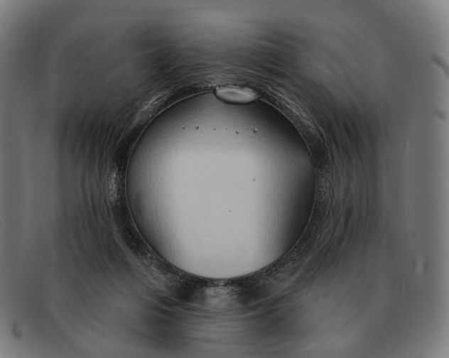 X0000091330216200708311443
