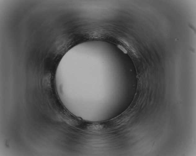 X0000091330217200708311443