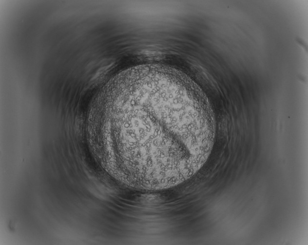 X0000091330218200708311443