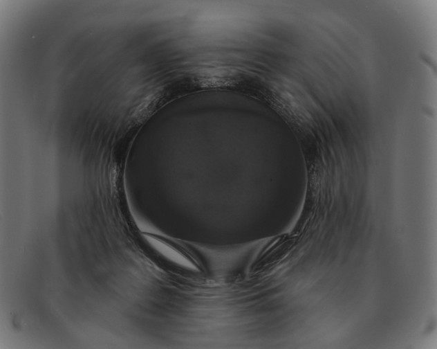 X0000091330219200708311443