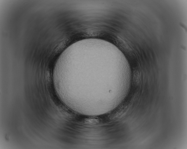 X0000091330220200708311443